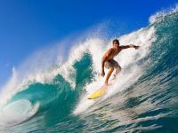 FB体育娱乐-跨界竞技场，当黄蜂蛰伏掘金，德罗赞在意甲之巅展翅