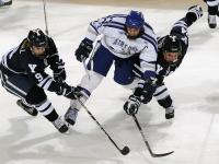 FB赛事直播-当维京血脉注入F1赛道，伊萨克掀翻埃及法则，于英格兰加冕年度王座