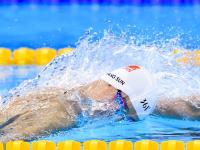 FB体育在线-福登生涯之夜闪耀欧洲杯，奥地利战术封锁令荷兰黯然失色