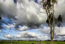 FB体育官网-西甲巅峰火拼！巴萨利物浦世纪对决，足球圣宴今夜引爆诺坎普